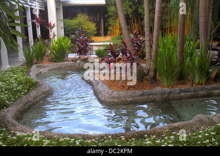 Florida Weston, fort ft. Lauderdale,Bonaventure Resort & Spa,hôtel,habitat protégé,plantes,eau,recherche FL130731027 Banque D'Images