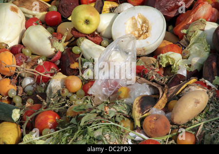 Morceaux de fruits et légumes pourris utilisés comme engrais dans une industrie agricole Banque D'Images