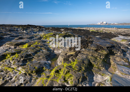 Wylfa Nuclear Plant de Cemlyn Bay Nature Reserve, Anglesey, Pays de Galles Banque D'Images