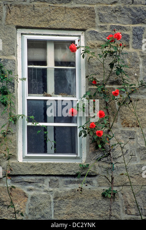 La ligne rouge de plus en plus rose à côté d'une fenêtre sur le mur de granit d'une ancienne maison. Banque D'Images