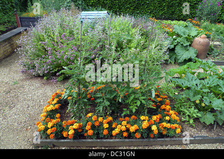 Les parcelles surélevée, cuisine, jardin avec plantes d'accompagnement pour dissuader les insectes ravageurs, Geoff Hamilton's Barnsdale Gardens, Rutland, UK. Banque D'Images