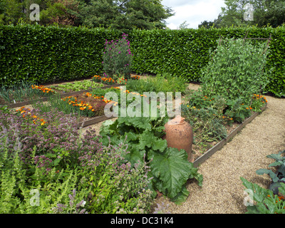 Les parcelles surélevée, cuisine, jardin avec plantes d'accompagnement pour dissuader les insectes ravageurs, Geoff Hamilton's Barnsdale Gardens, Rutland, UK. Banque D'Images