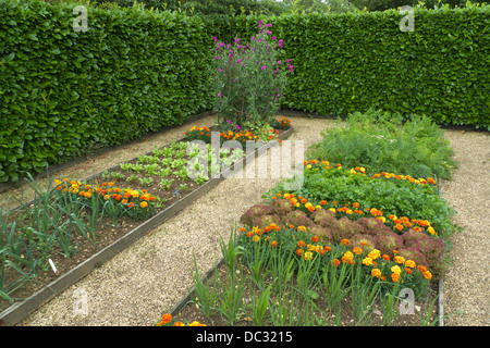 Les parcelles surélevée, cuisine, jardin avec plantes d'accompagnement pour dissuader les insectes ravageurs, Geoff Hamilton's Barnsdale Gardens, Rutland, UK. Banque D'Images