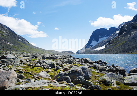 Paysage dans le parc national de Jotunheimen, la Norvège. Banque D'Images