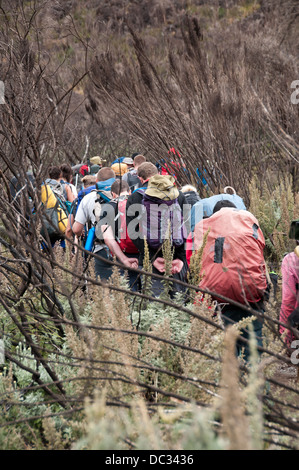 Un groupe de randonneurs sur le bas des pentes du Kilimandjaro Banque D'Images