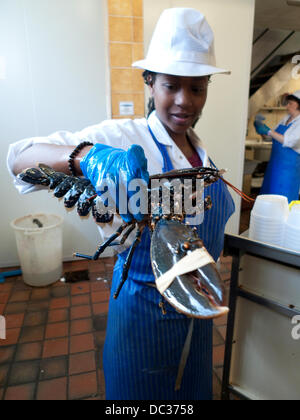 Une femme noire employée travaillant chez Ashton Fishmongers au marché de Cardiff tient un homard vivant frais avec des incers à ruban adhésif. En raison d'une surabondance de l'offre que certains attribuent au changement climatique, le coût du homard est en baisse Cardiff, pays de Galles, Royaume-Uni 2013 KATHY DEWITT/ALAMY LIVE NEWS Banque D'Images