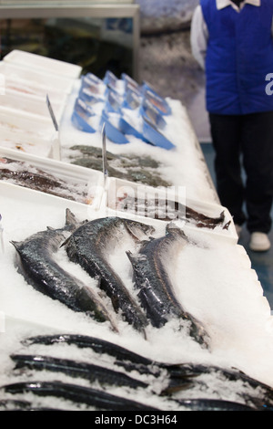 Le poisson surgelé au supermarché Banque D'Images