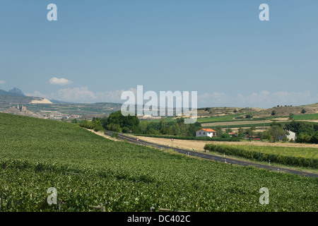 Vignobles de la RÉGION VITICOLE DE RIOJA LA RIOJA ESPAGNE Banque D'Images