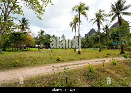 Paysage de jungle sur le chemin de l'Ouest à l'East Railay Beach dans la province de Krabi, Thaïlande Banque D'Images