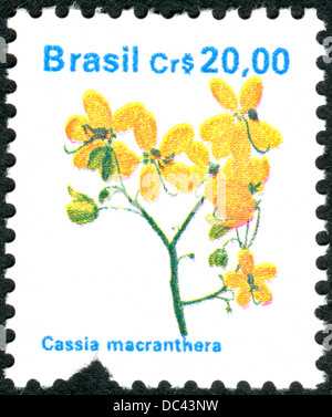 Brésil - circa 1990 : timbre-poste imprimé au Brésil montre un arbre Cassia Macranthera, vers 1990 Banque D'Images