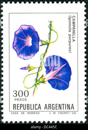 AGRENTINA - VERS 1982 : un timbre-poste imprimé en Argentine montre fleur Ipomoea purpurea, vers 1982 Banque D'Images