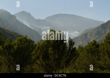 En vol au dessus de la fumée dans les montagnes Estellencs l'île de Majorque après un violent incendie s'est propagé autour de 2300 hectares. Banque D'Images