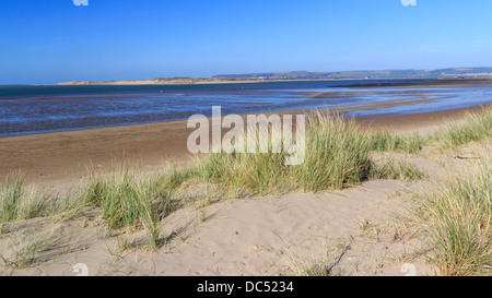 Dunes de sable de l'Instow North Devon England UK Banque D'Images