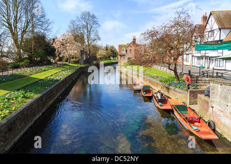 Riverside paysage sur la rivière Stour à Canterbury Kent England UK Banque D'Images