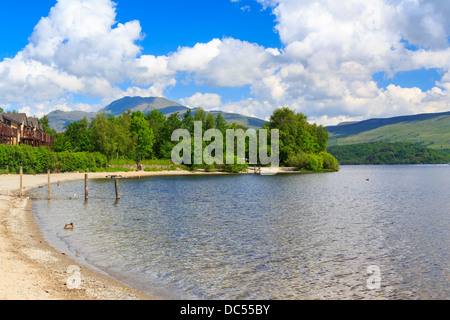 L'été sur les rives du Loch Lomond, les Trossachs National Park Scotland UK Banque D'Images