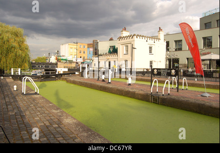 Algues vertes toxiques sur le Regents Canal à Camden Lock à Londres, Angleterre Banque D'Images