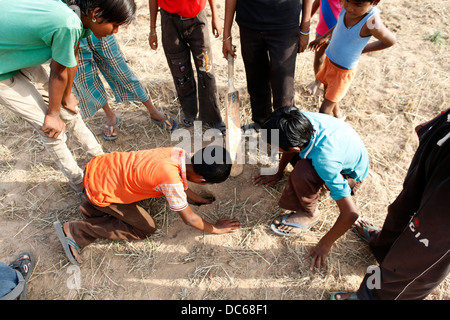 Un jeune garçon récupère sa balle de cricket qui a s'est perdu dans un trou de lapin au cours d'un jeu de rue de cricket, à Khajuraho, Inde Banque D'Images