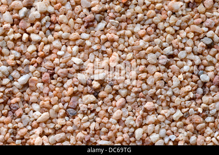 Milieux et de textures : surface de sable grossier, close-up shot Banque D'Images