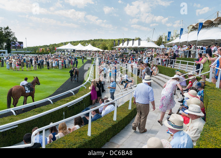 Racegoers à regarder les chevaux dans l'anneau de parade à Goodwood Hippodrome. Banque D'Images