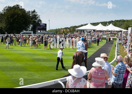Les propriétaires et les chevaux dans l'Hippodrome de Goodwood anneau parade. Banque D'Images