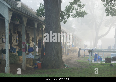 2 août 2013 Saratoga Raceway est la plus ancienne course de l'US, et célèbre ses 150 ans de présence en 2013 sur la photo Banque D'Images