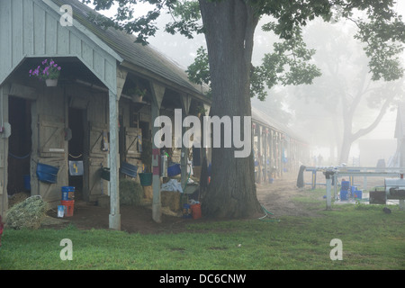 2 août 2013 Saratoga Raceway est la plus ancienne course de l'US, et célèbre ses 150 ans de présence en 2013 sur la photo Banque D'Images