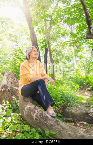 USA, New York State, New York, Central Park, Senior woman sitting on log in forest Banque D'Images
