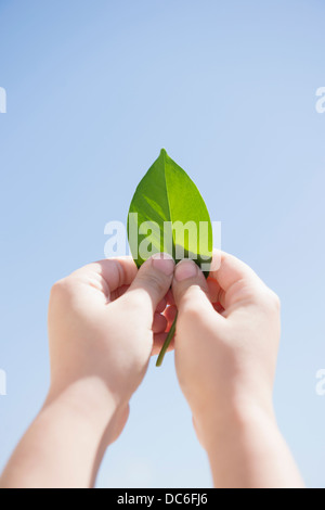 Girl (8-9) holding Green leaf against blue sky Banque D'Images