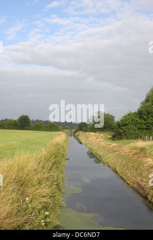 Rhynes sur Somerset Levels près de Cheddar, Somerset. Août 2013 Banque D'Images