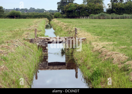 Rhynes sur Somerset Levels près de Cheddar, Somerset. Août 2013 Banque D'Images