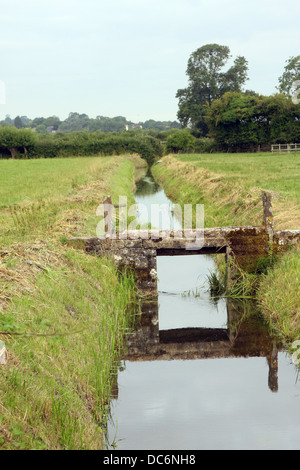 Rhynes sur Somerset Levels près de Cheddar, Somerset. Août 2013 Banque D'Images