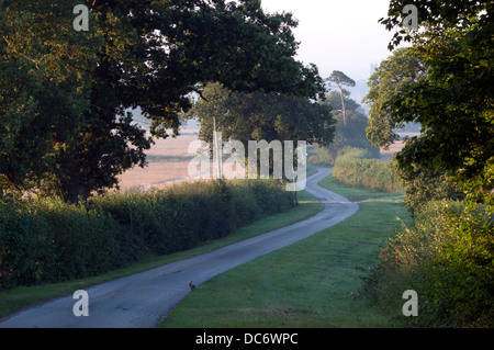 Route de campagne sinueuse, Warwickshire, UK Banque D'Images