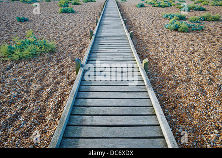 Promenade en bois menant à la plage de dormeurs avant Kent UK Banque D'Images