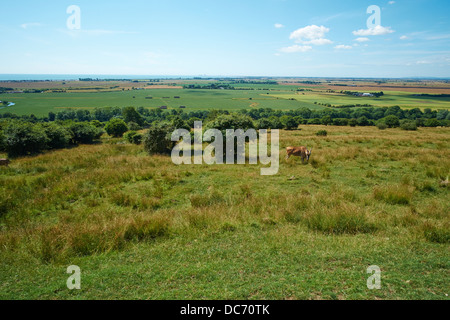 Vue à travers les champs de Port Lympne Wild Animal Park près de Hythe Kent UK Banque D'Images