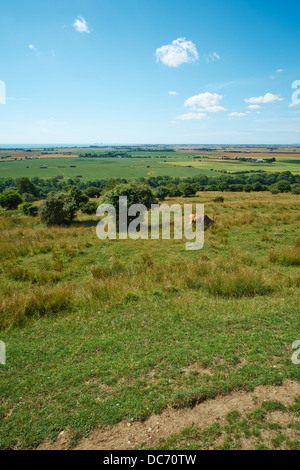 Vue à travers les champs de Port Lympne Wild Animal Park près de Hythe Kent UK Banque D'Images