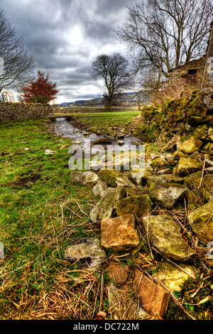 Petit brook situé à Carperby Wensleydale, North Yorkshire UK Angleterre Banque D'Images