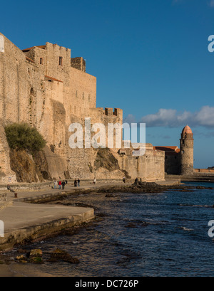 Chateau Royal et Eglise Notre-Dame des Anges, Collioure, Pyrénées-Orientales, Languedoc-Roussillon, France Banque D'Images