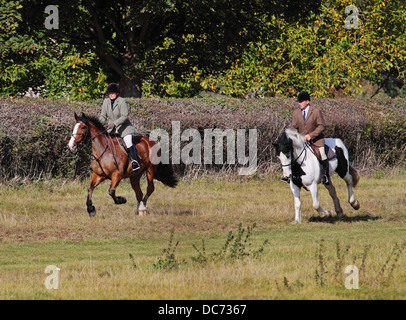 Deux cavaliers dans une prairie Banque D'Images