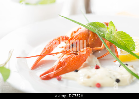 Red Lobster avec citron et verts sur une plaque blanche Banque D'Images
