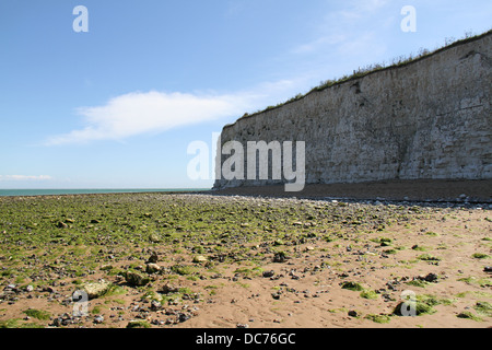 Les falaises de craie blanche à Josh bay beach, Broadstairs, Île de Thanet, dans le Kent, en Angleterre. Banque D'Images