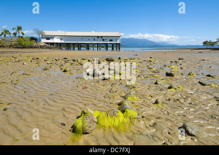 Sucre historique sur la construction du quai d'admission Dickson - Port Douglas - Le Nord du Queensland - Australie Banque D'Images