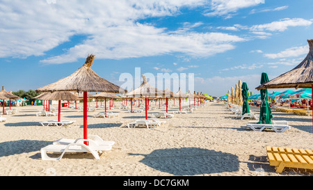 Rangée de paille et de parasols et chaises longues sur une plage de sable fin Banque D'Images