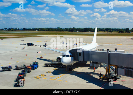 L'arrêt d'avions commerciaux à l'aéroport Boryspil, Kiev, Ukraine. Travailleurs de l'aéroport chargement de la plaine avec ses bagages. Banque D'Images