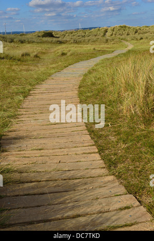 Promenade qui surlonge les dunes de sable à West Wittering, Nr. Chichester, West Sussex, Angleterre, Royaume-Uni Banque D'Images