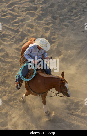 La pratique de Cowboy roping avant que le chef Joseph Jours Rodeo dans Joseph, Oregon. Banque D'Images