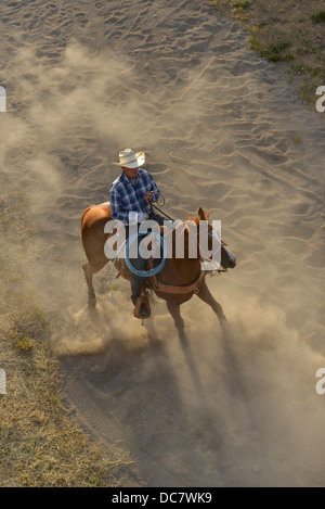 La pratique de Cowboy roping avant que le chef Joseph Jours Rodeo dans Joseph, Oregon. Banque D'Images