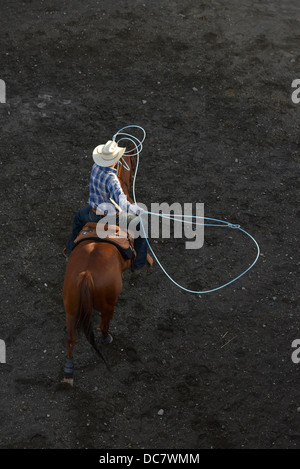 La pratique de Cowboy roping avant que le chef Joseph Jours Rodeo dans Joseph, Oregon. Banque D'Images