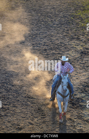 La pratique de Cowboy roping avant que le chef Joseph Jours Rodeo dans Joseph, Oregon. Banque D'Images