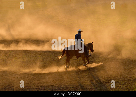 Cowboy exerçant devant le chef Joseph Jours Rodeo dans Joseph, Oregon. Banque D'Images