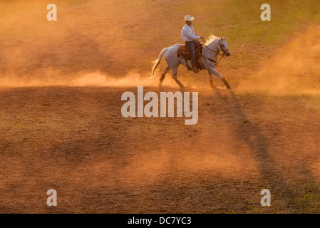 Cowboy exerçant devant le chef Joseph Jours Rodeo dans Joseph, Oregon. Banque D'Images